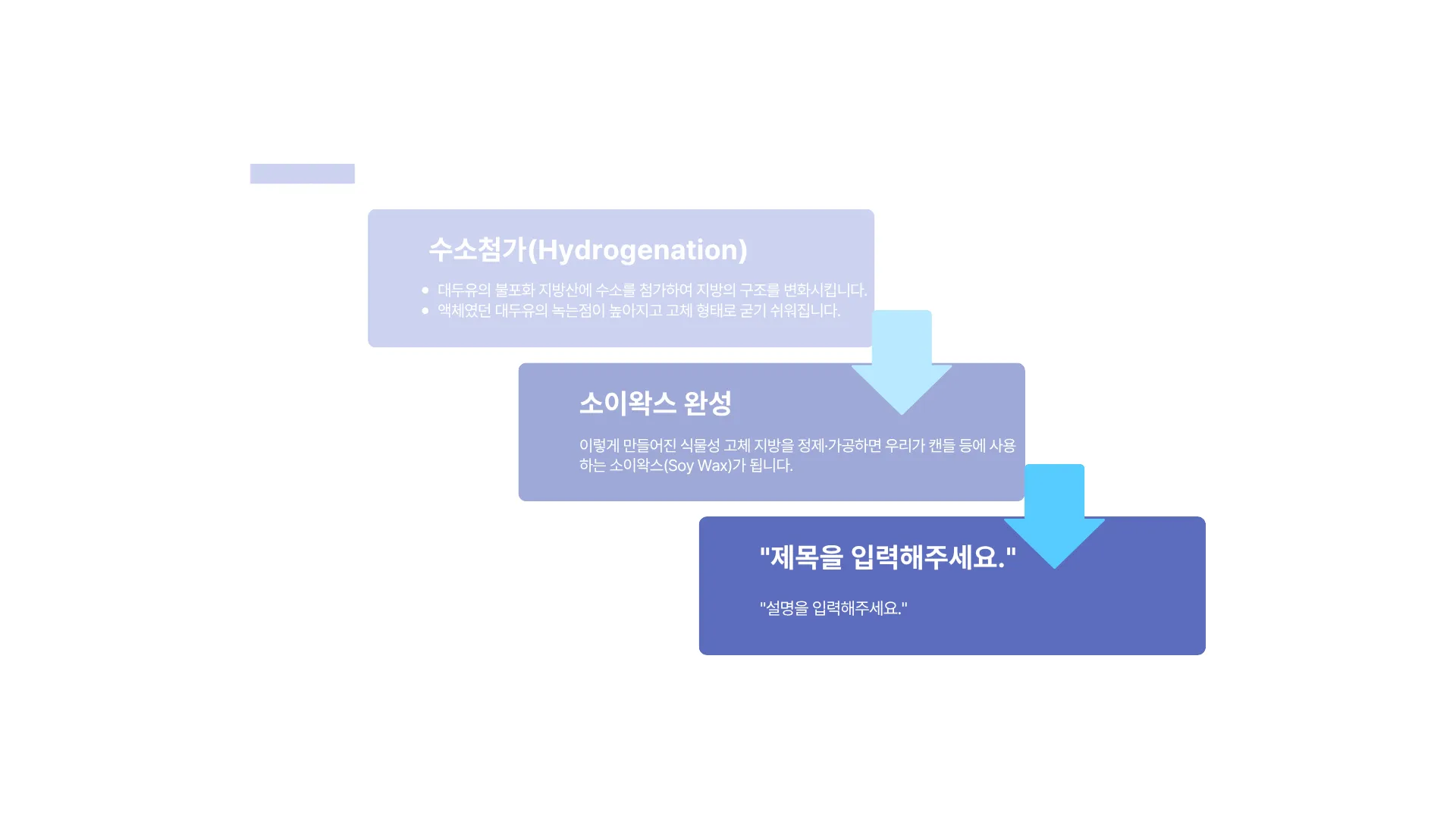 328:255 최신 판정 결과